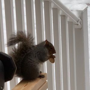 Meet your Posher, Shara